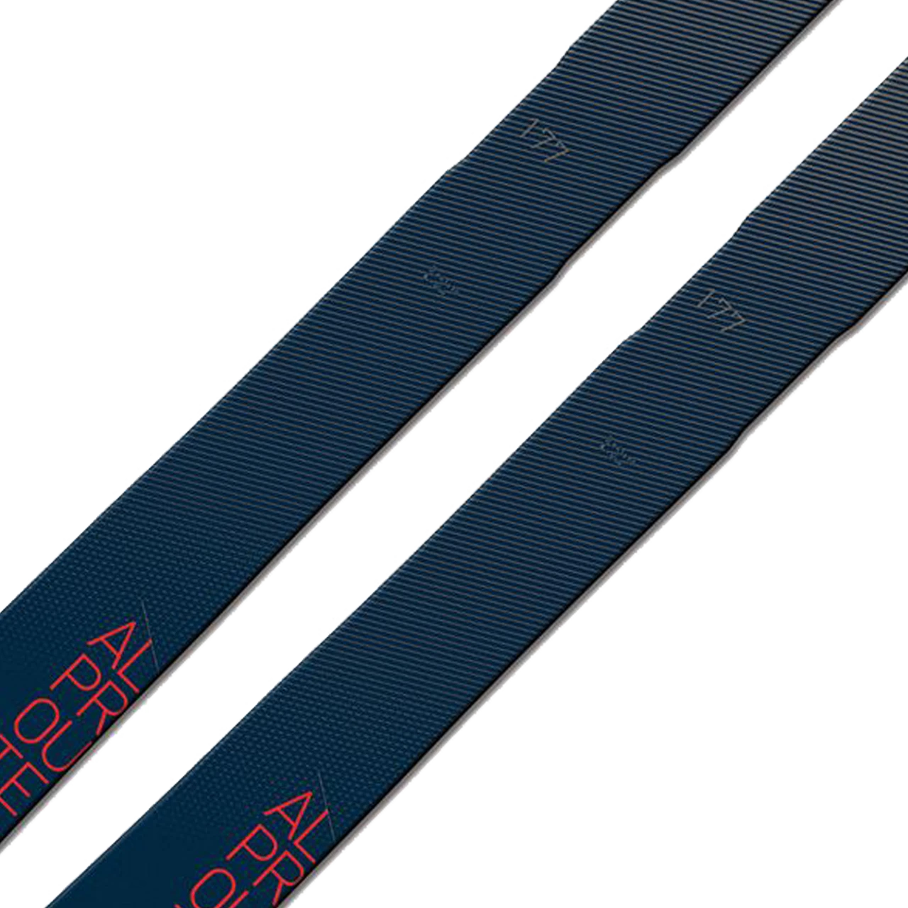 Fischer Alproute 88 (2022/23) 4 Fischer Alproute 88 (2022/23) - immagine 4